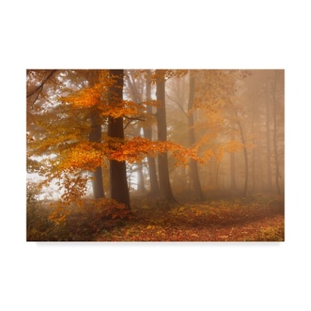 Nicolas Schumacher 'Edge Of The Autumn Woods' Canvas Art,12x19